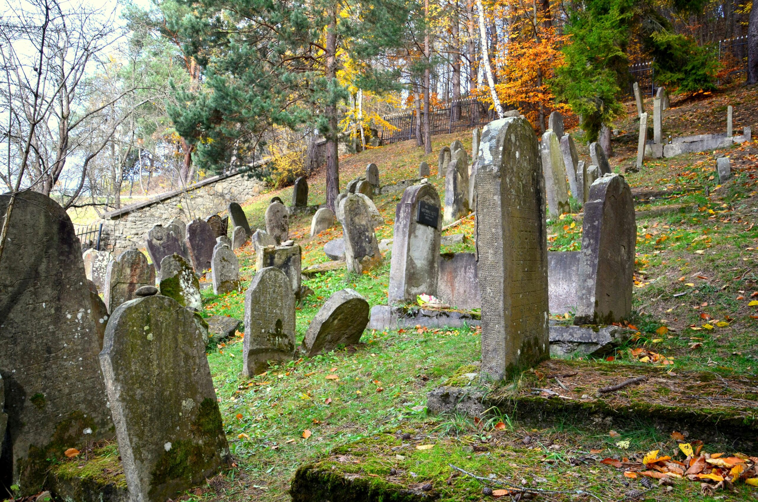 Scenic view of an ancient Jewish cemetery in a forest during autumn with colorful foliage.