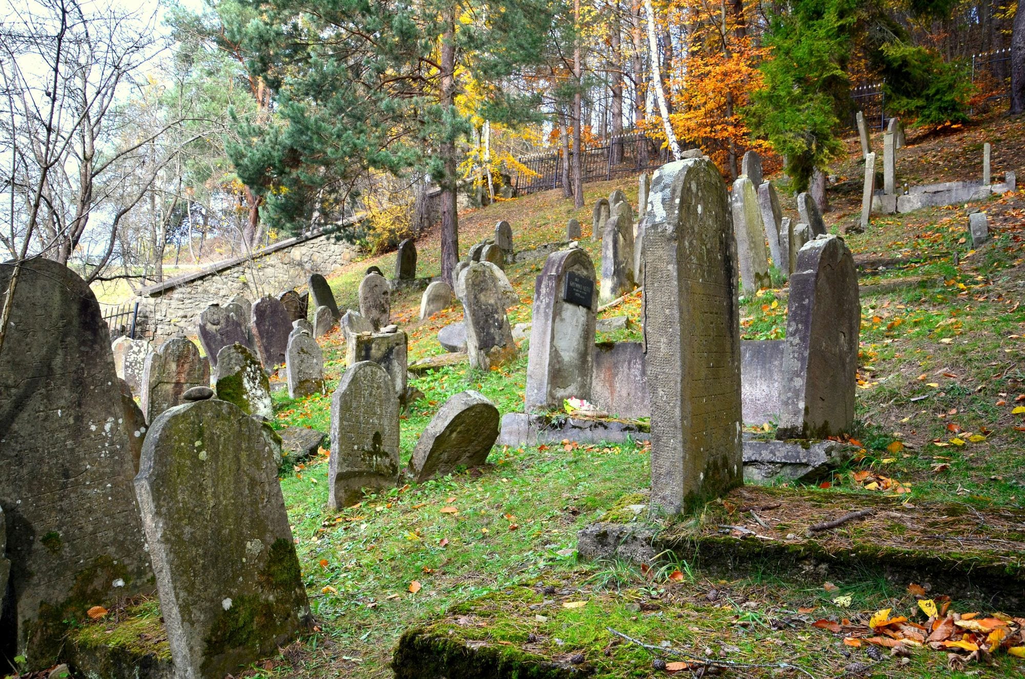 Scenic view of an ancient Jewish cemetery in a forest during autumn with colorful foliage.